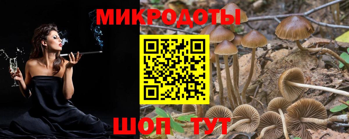 Псилоцибиновые грибы Magic Shrooms  Вход с VPN  Псилоцибиновые грибы Cubensis  Жигулёвск 