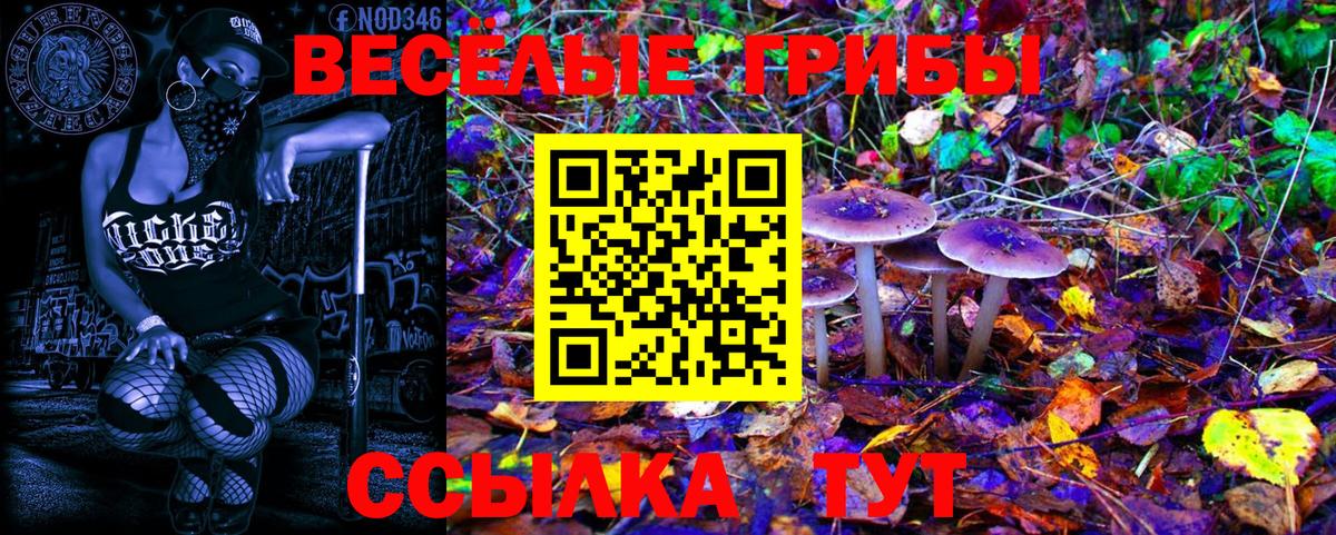 Псилоцибиновые грибы ЛСД Жигулёвск